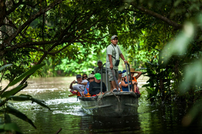 amazon jungle cruises