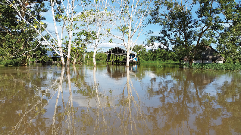 Delfin Amazon Cruises Takes over the Amazon Discovery