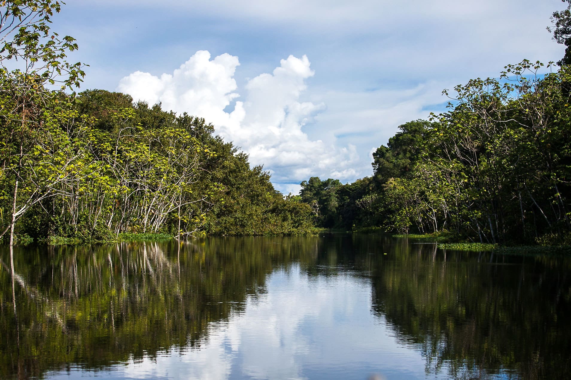 The Luxury Amazon River Cruise