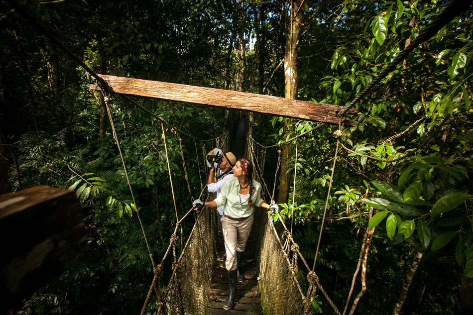 Discover Your Dream Amazon Vacation