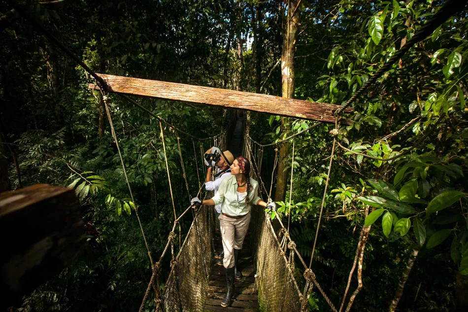 Discover Your Dream Amazon Vacation