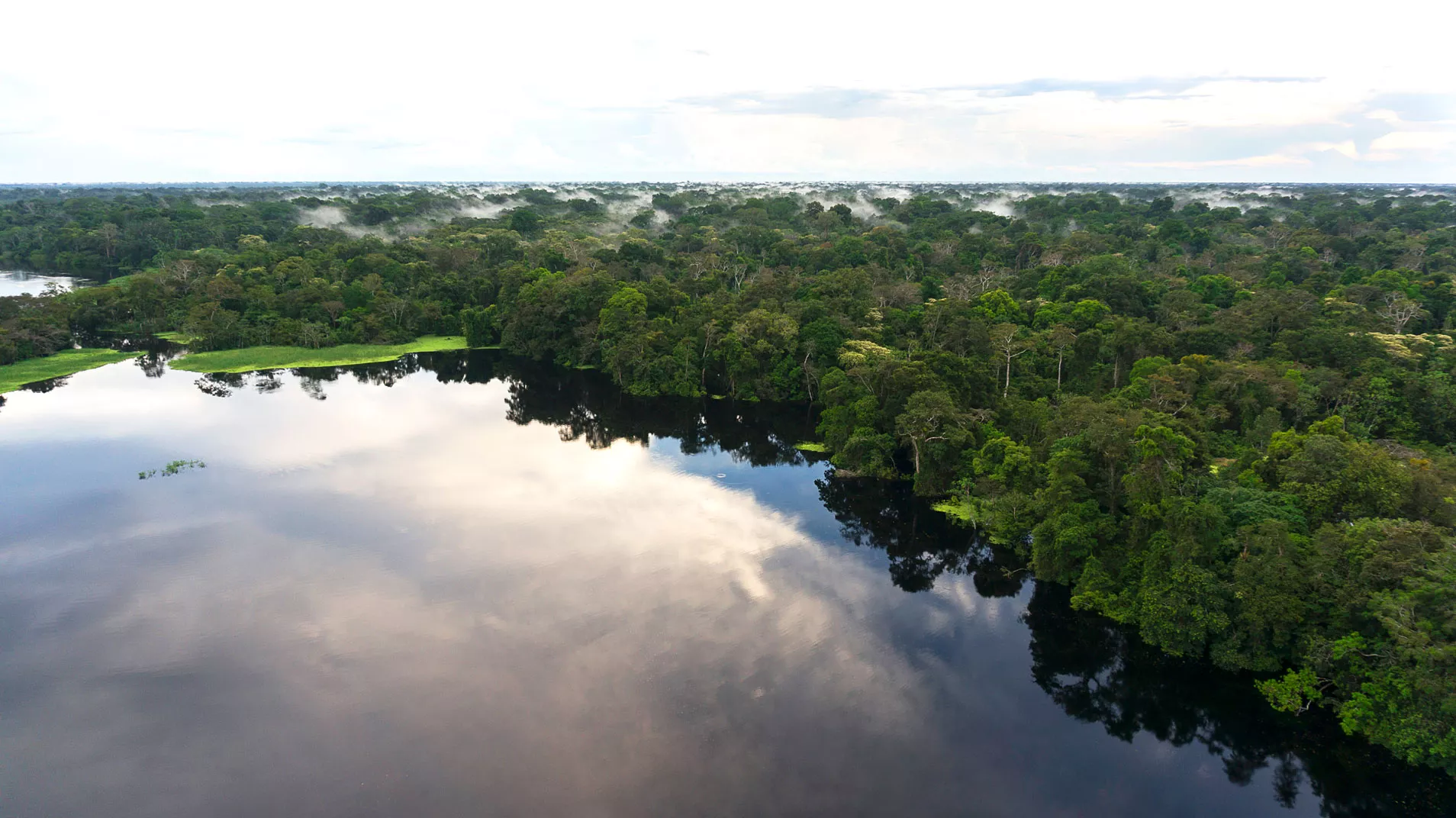 Amazon River Tours: Discover the Exotic Experience of the Jungle