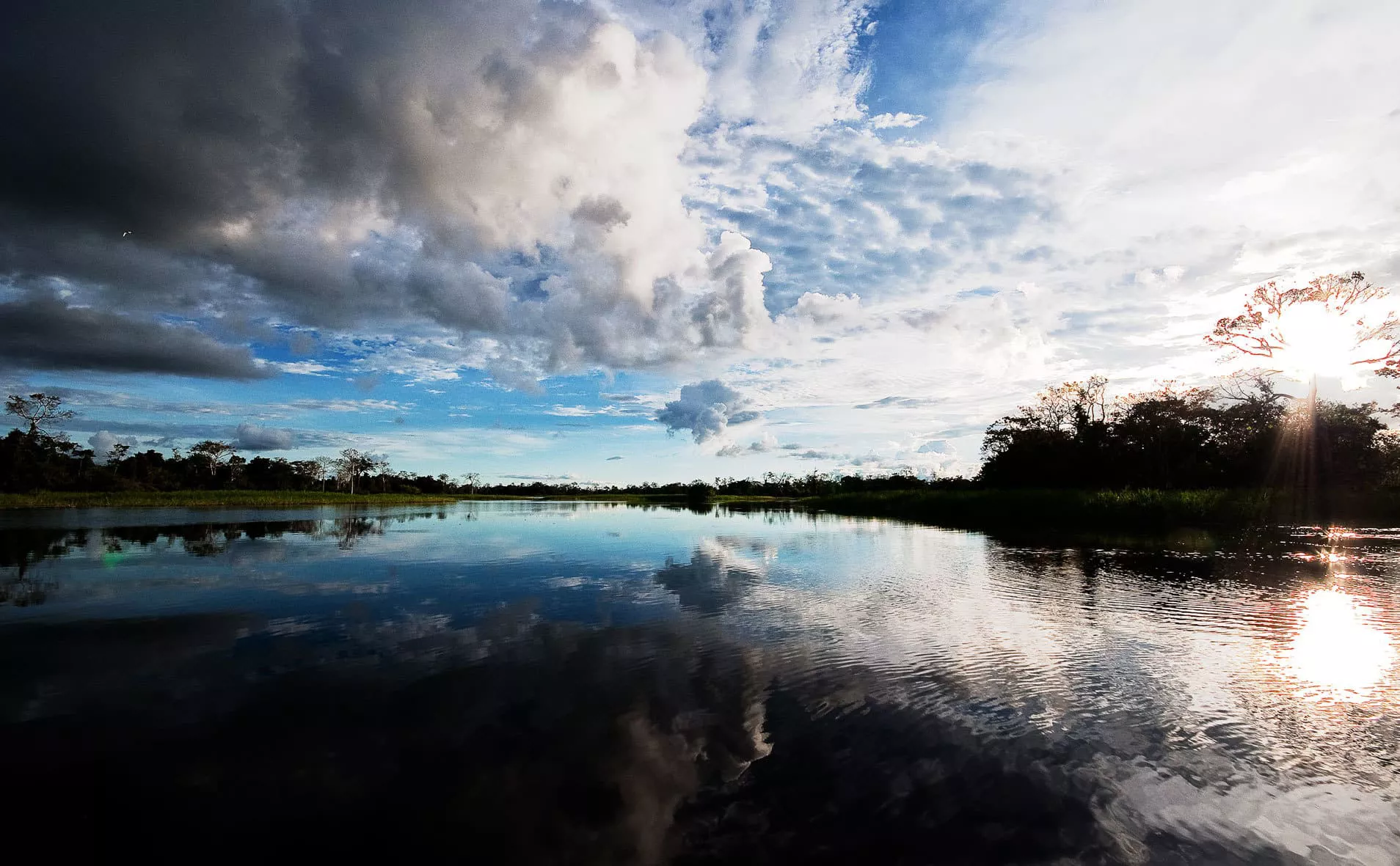 Tour the Amazon on the Luxurious Delfin Amazon Cruises