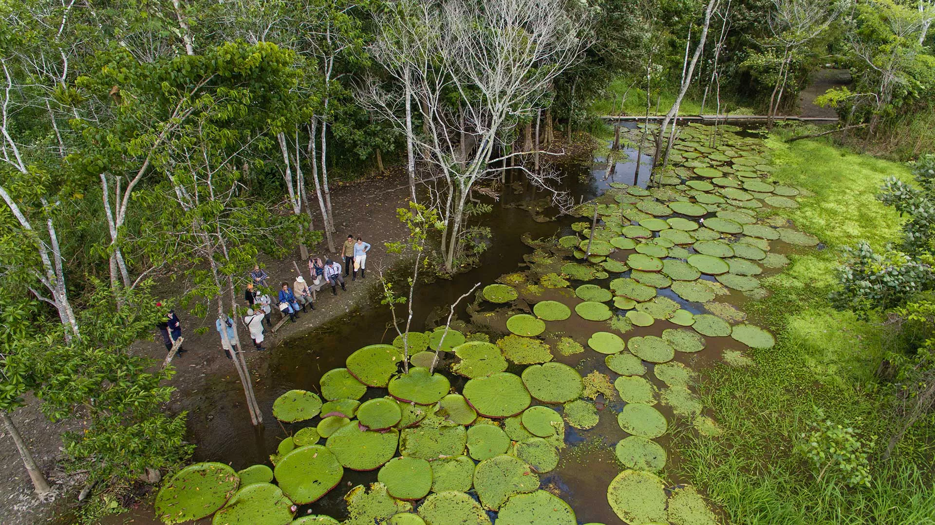 Things to See and Do in Iquitos: A Gateway to the Peruvian Amazon