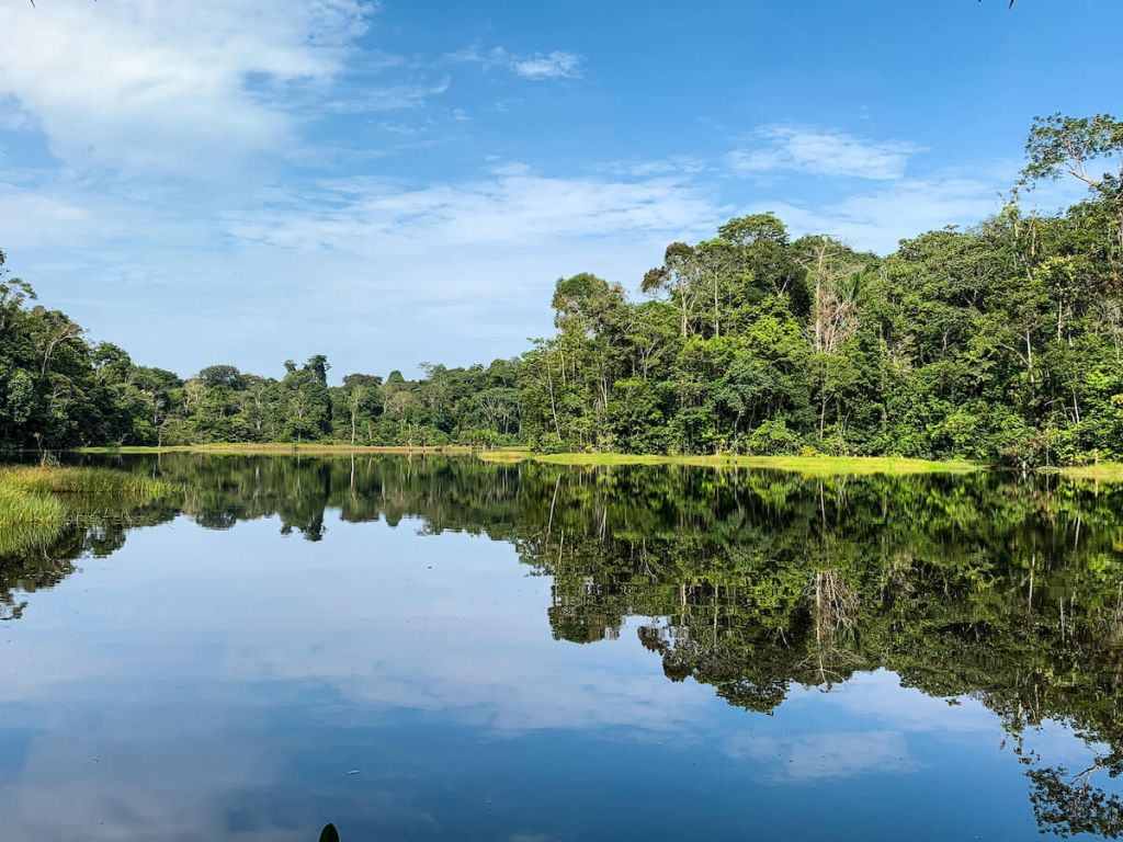 Pacaya Samiria National Reserve