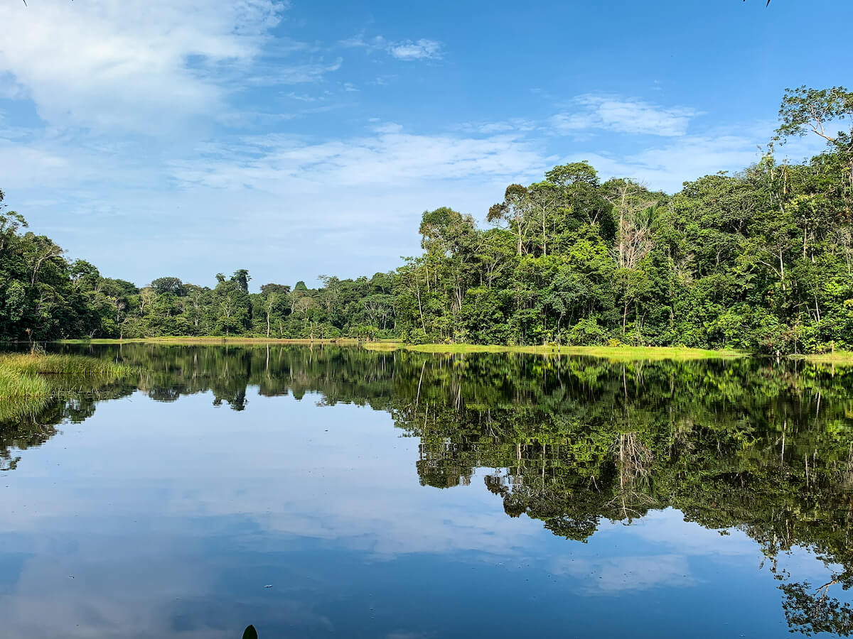 Amazon River Facts