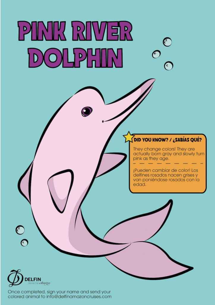 Delfin Amazon Cruises - Pink RIVER DOLPHIN