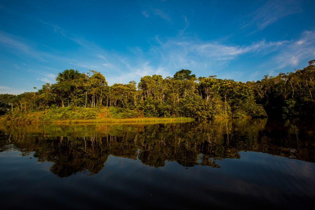 Delfin Amazon Cruises