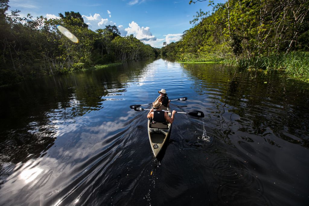 Delfin Amazon Cruises Resumes Operations