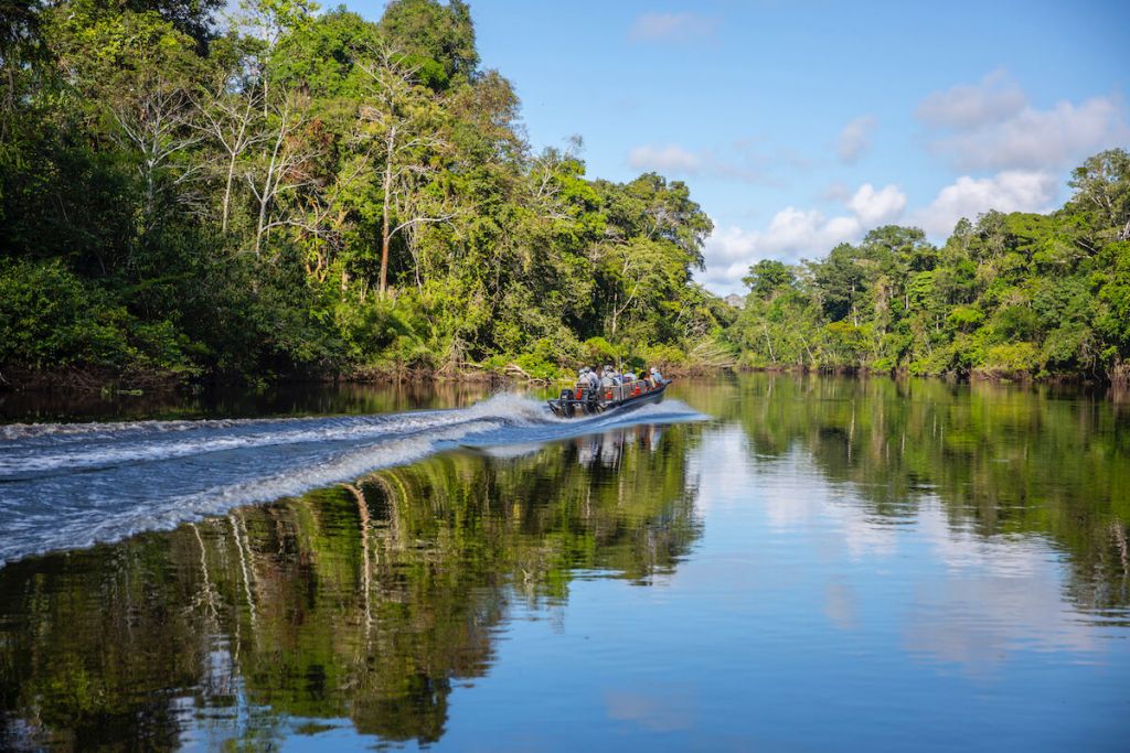 Delfin Amazon Cruises Exploration