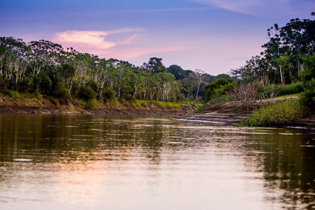 Delfin Amazon Cruises