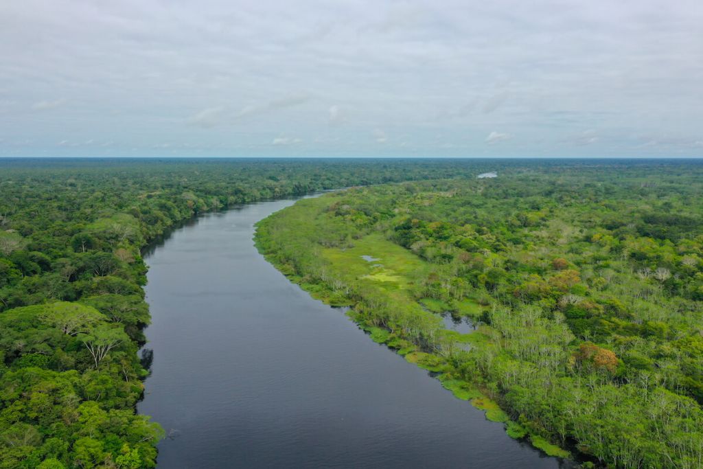 Upper Peruvian Amazon