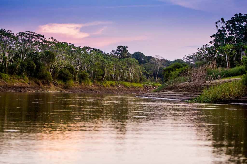 Wellness Experience Aboard the Delfin III Amazon Cruise