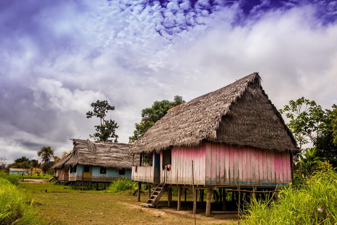Threats to the Amazon Rainforest
