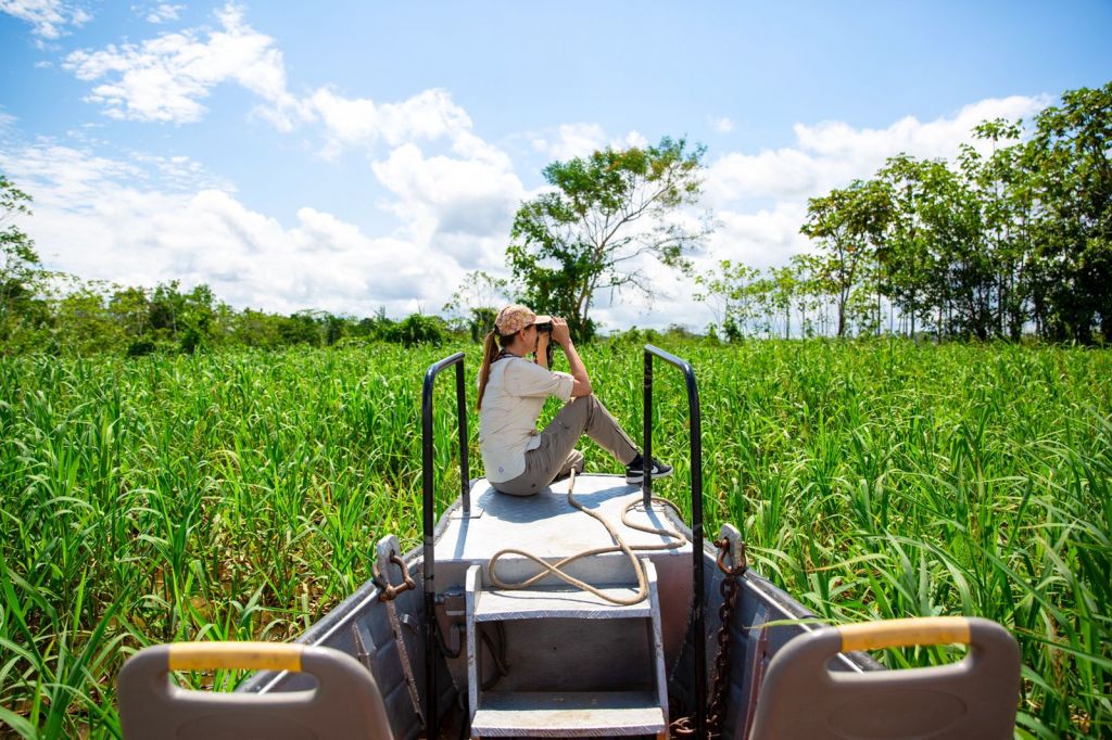 Delfin Amazon Cruises