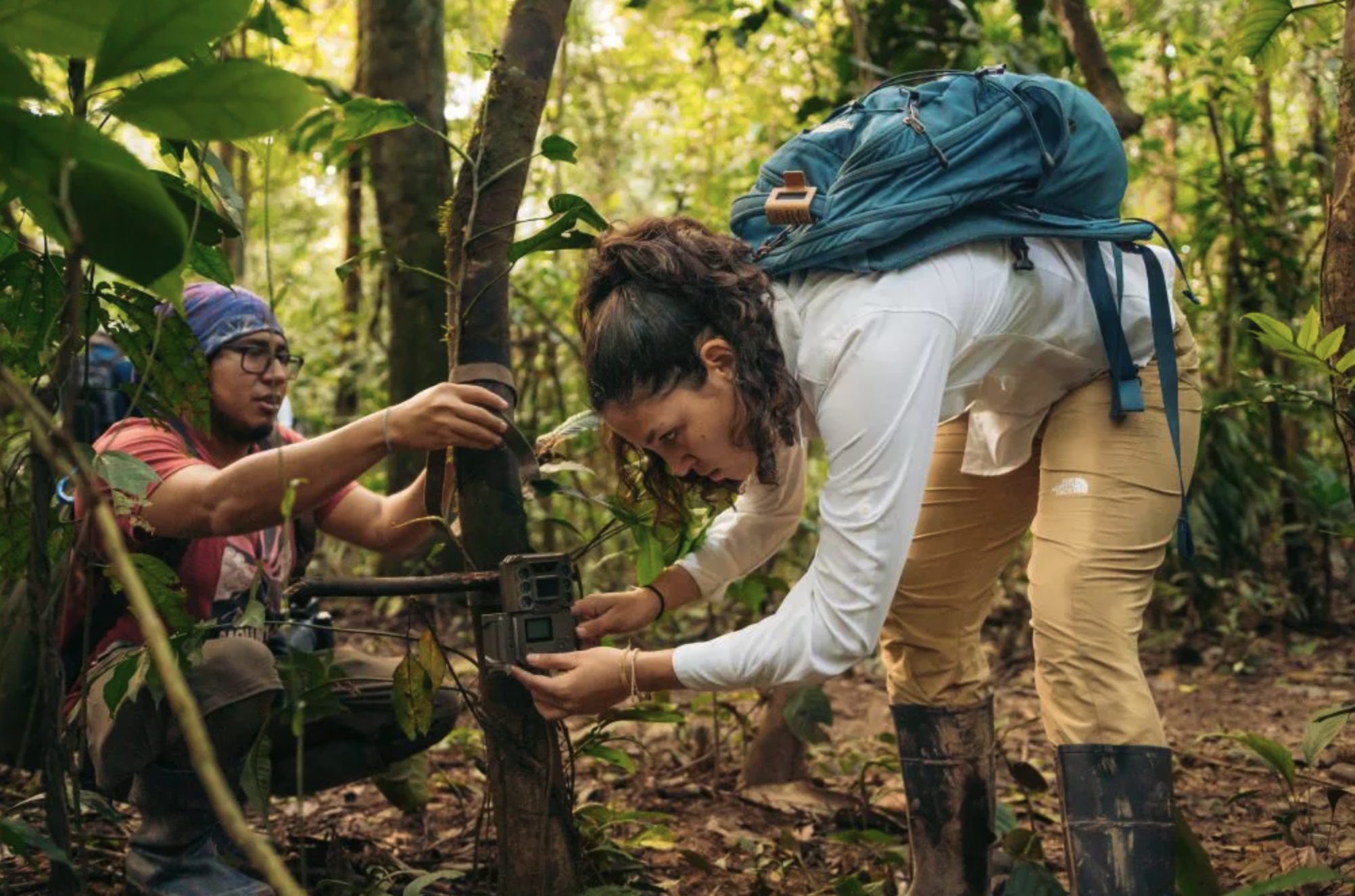 Peru Shines on the Global Stage with Prestigious Nominations in Sustainable Travel & Hospitality Awards