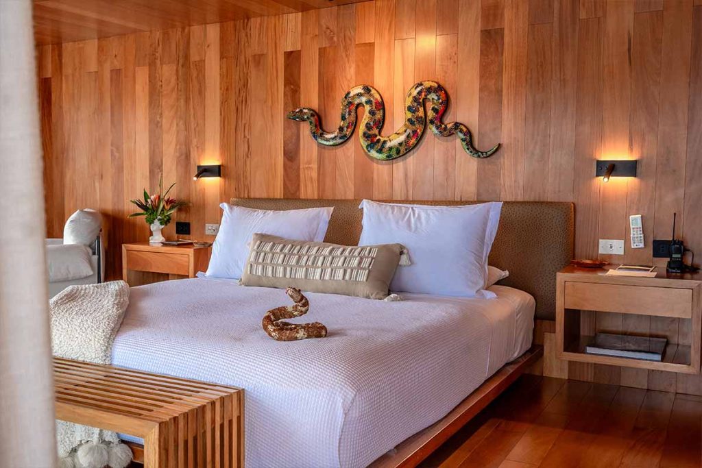 Discover a Luxury Amazon Cruise