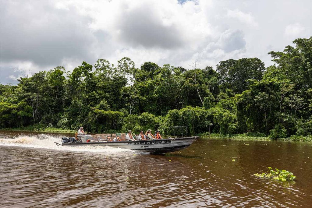 Where is the Amazon Rainforest Located