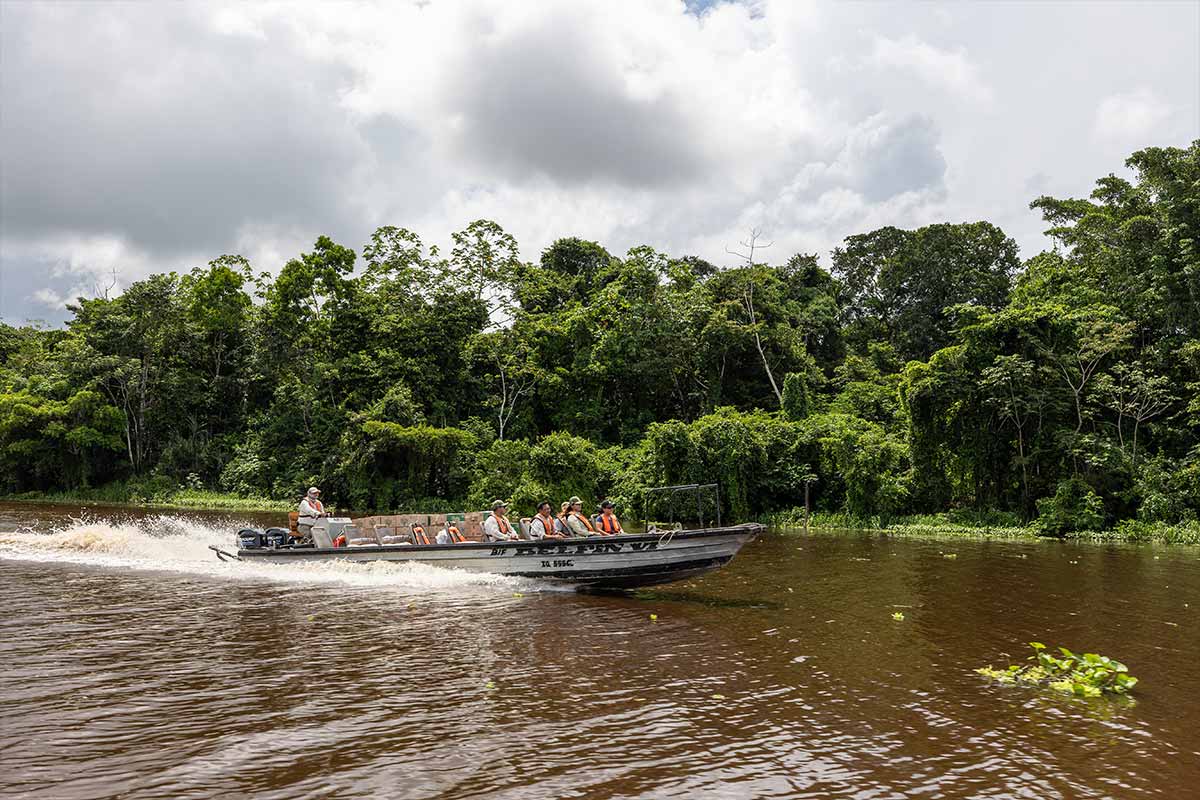 Where is the Amazon Rainforest Located