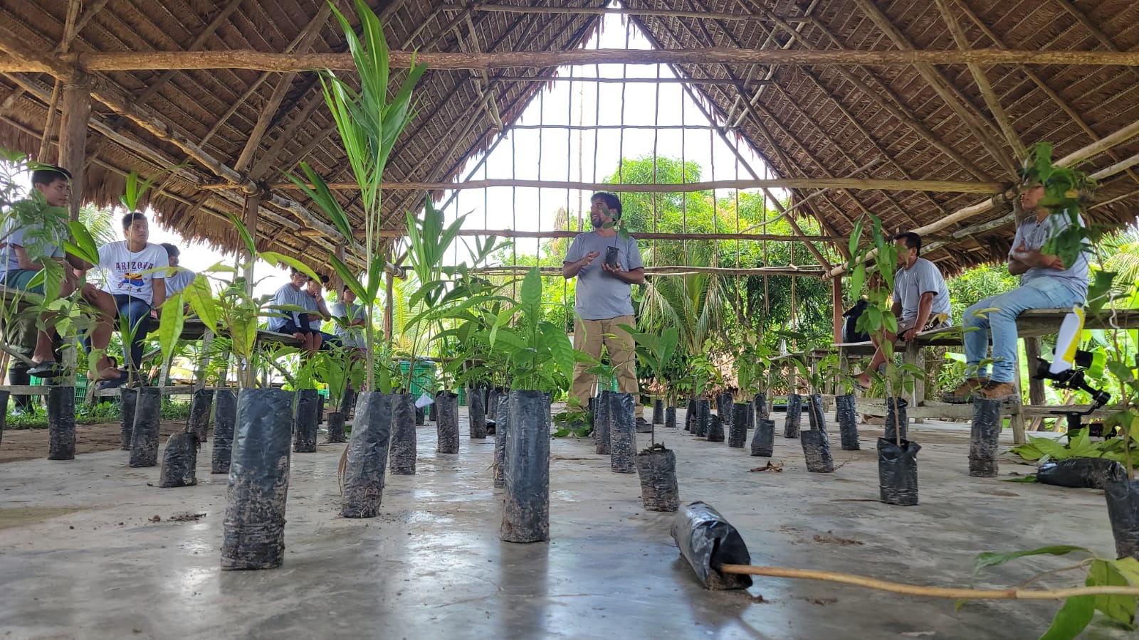 BioRest: A Biocultural Restoration Program Rooted in the Amazon