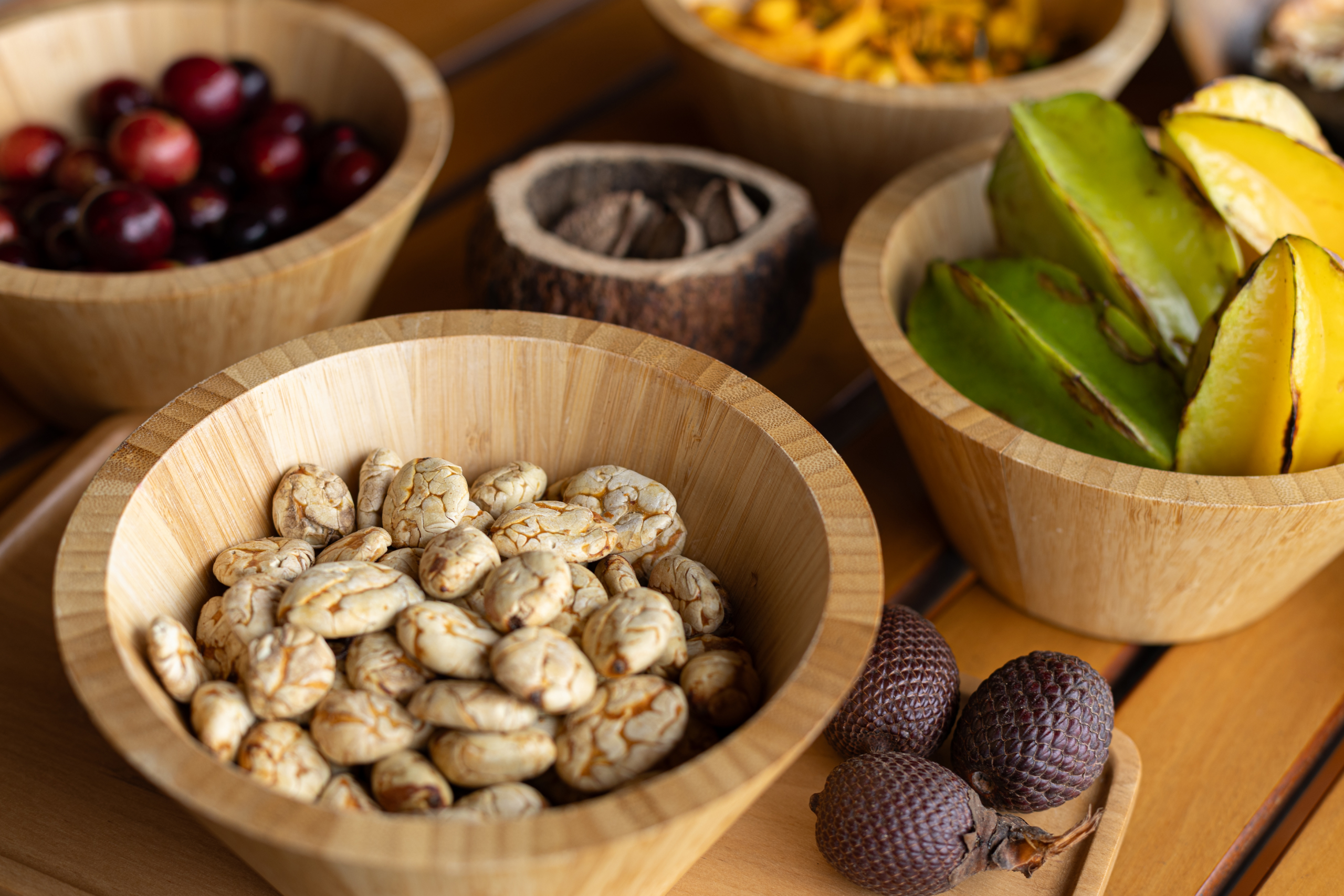 La Huerta Delfin: A Edible Garden in Motion