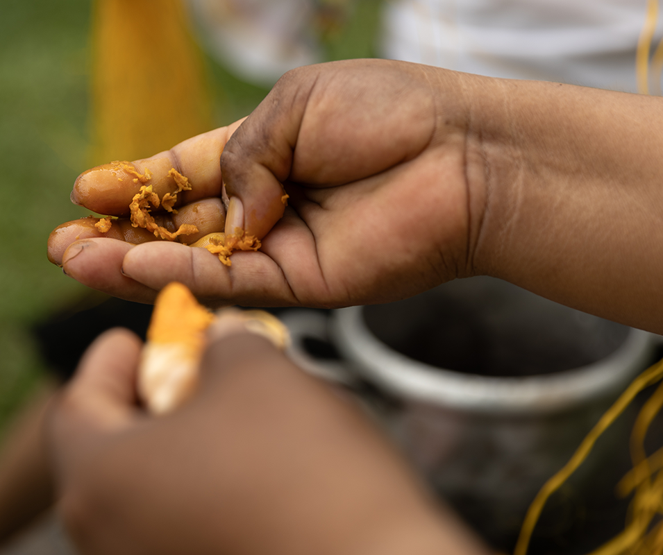 Close up of chambira fiber preparation using natural dyes in the Amazon