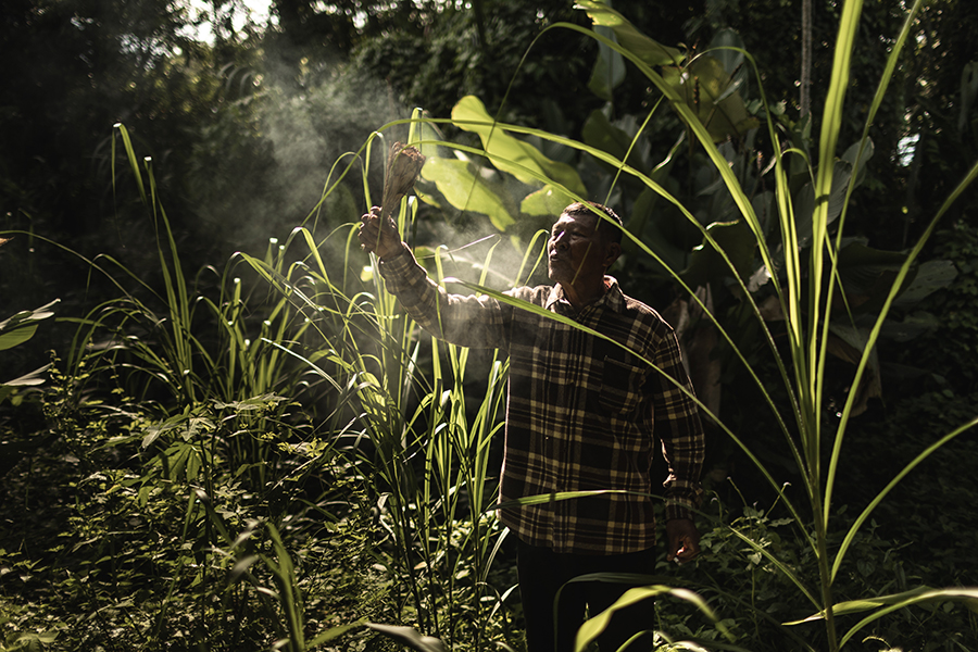 Amazon local guide performing traditional ritual with natural plants in the rainforest
