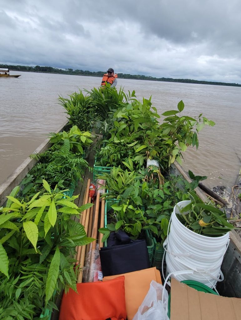 Boat transporting native plants and restoration materials along the Amazon River