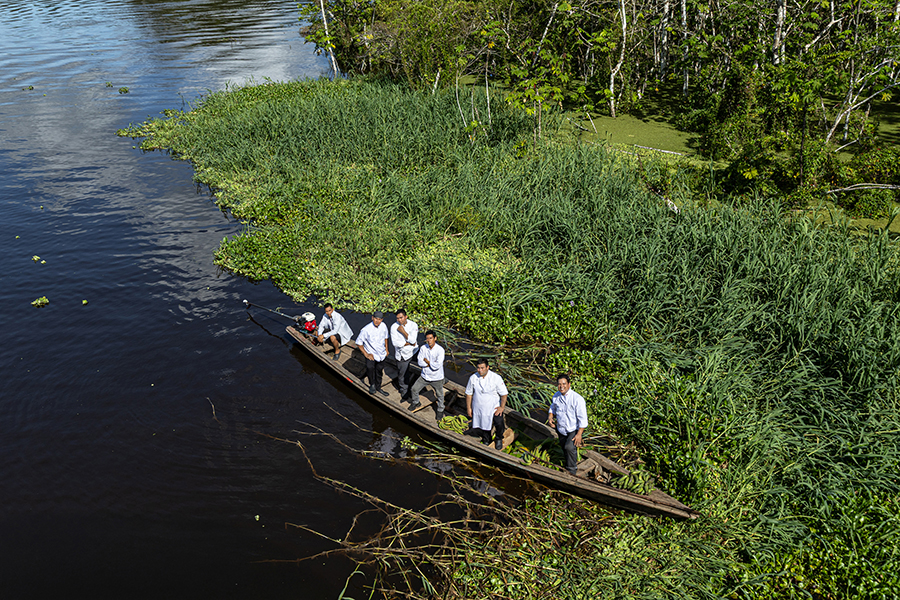 Small Amazon frog on leaf highlighting ecosystem detail