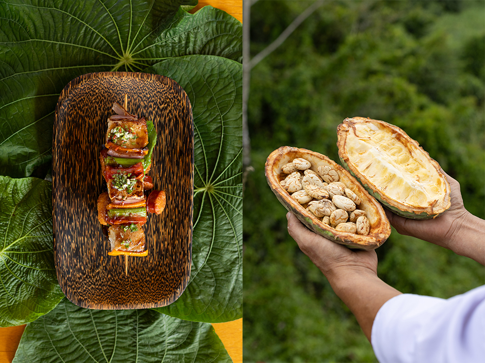 Amazonian gourmet dish served on tropical leaves alongside fresh cacao pod with beans in the rainforest