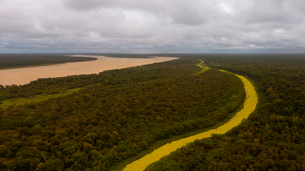 Commitment to the Amazon
