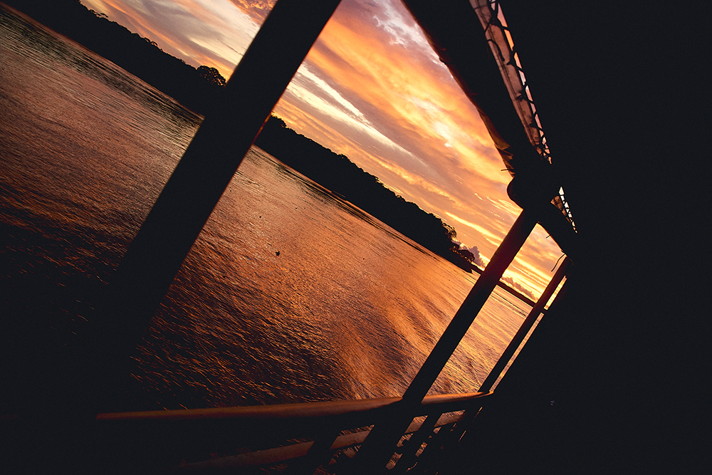 An Artist Enters the Amazon and Loses Control