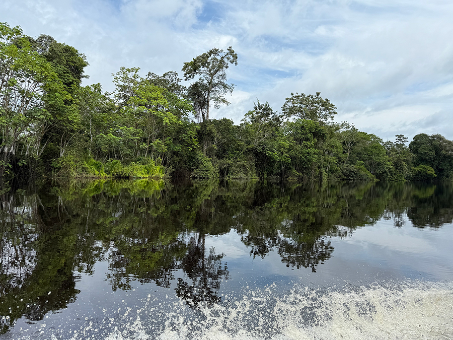 Amazon rainforest river landscape with mirror reflections in Peru