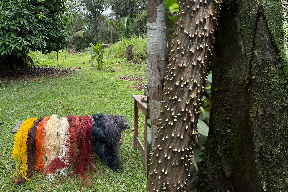 Natural dyed fibers laid out in the Amazon and close-up of tree bark textures used for traditional craftsmanship