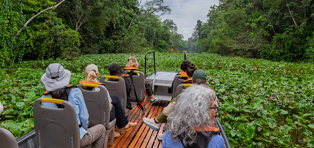 Guests exploring the Amazon rainforest by skiff with Delfín Amazon Cruises in Peru