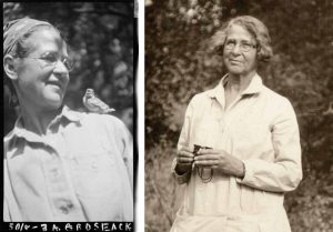 Artist–explorer Margaret Mee