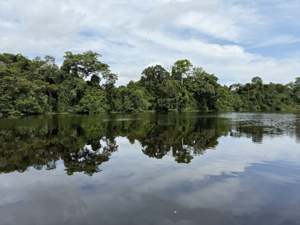 Amazon rainforest reflected on calm river waters in the Peruvian Amazon