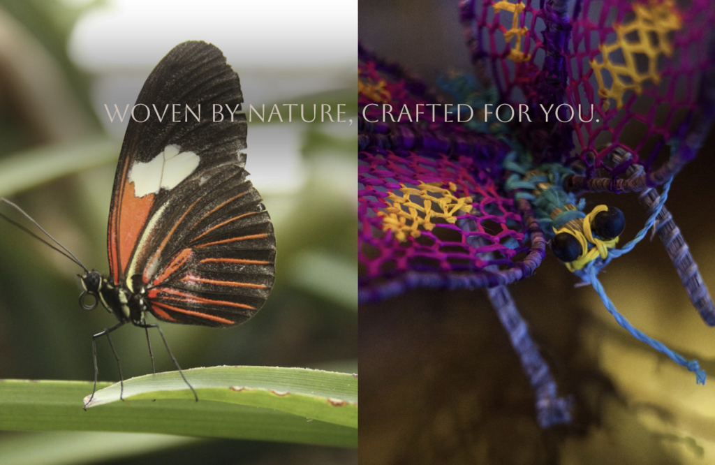 Amazon butterfly and handcrafted woven artisan piece representing local culture at Delfín Amazon Cruises