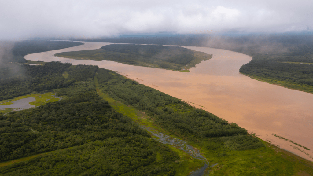 Aerial view of winding Amazon River flowing through dense rainforest in Peru