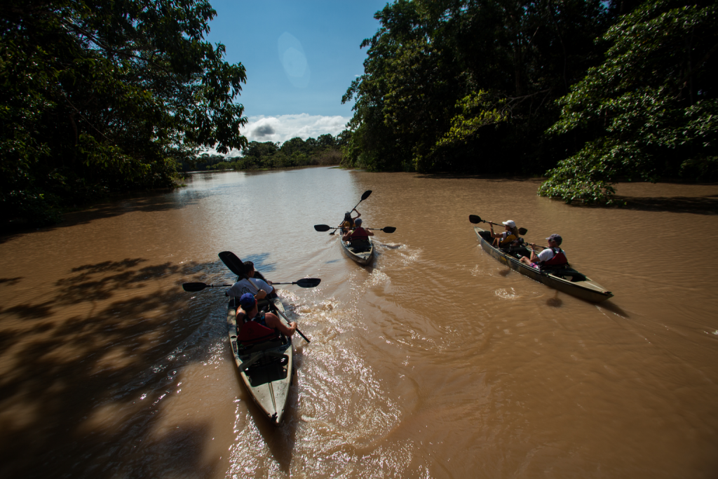 Guests kayaking through a narrow Amazon river surrounded by dense rainforest