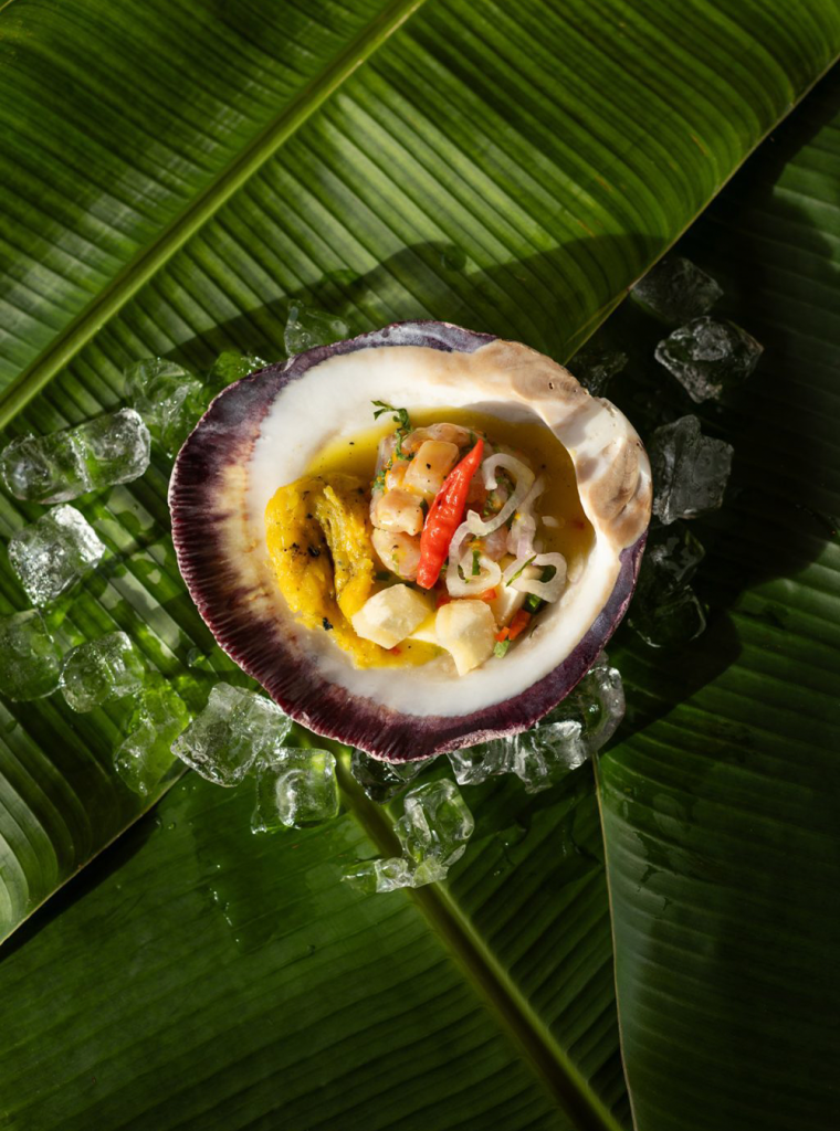 Amazonian ceviche Amazonian ceviche served in seashell with fresh local ingredients at Delfín Amazon Cruises