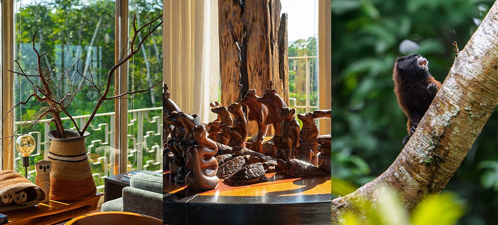 Collage featuring Amazon-inspired interiors and wildlife in the Peruvian Amazon aboard Delfín Amazon Cruises