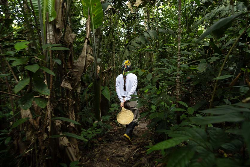01_Amazon-Rainforest-Guided-Walk-Peru