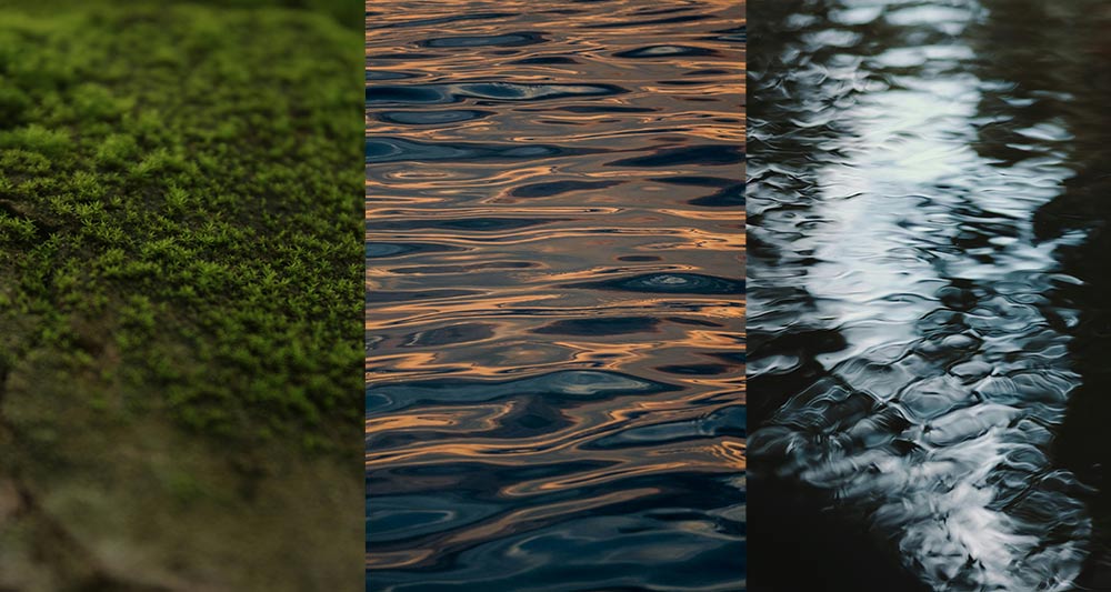 Patterns of water and vegetation in Amazon ecosystems