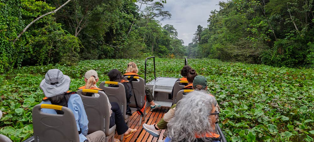 Expedition skiff navigating flooded forest in Pacaya Samiria Reserve