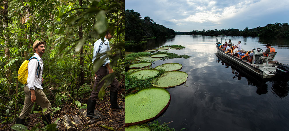 Guests exploring the Amazon rainforest on guided jungle walks and skiff excursions near giant Victoria amazonica lilies.