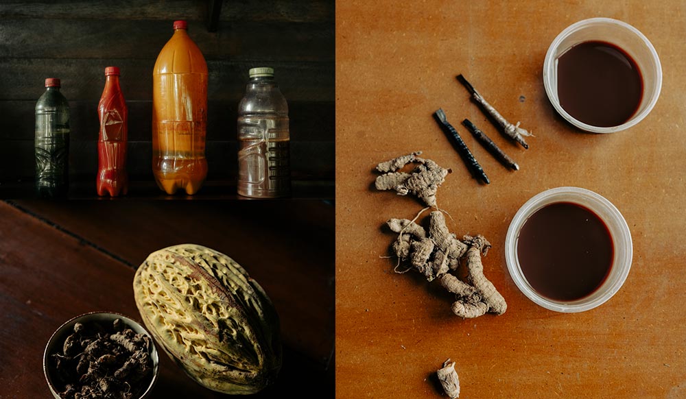 Vegetal pigments, dried roots, huito fruit, and traditional brushes used to paint kené