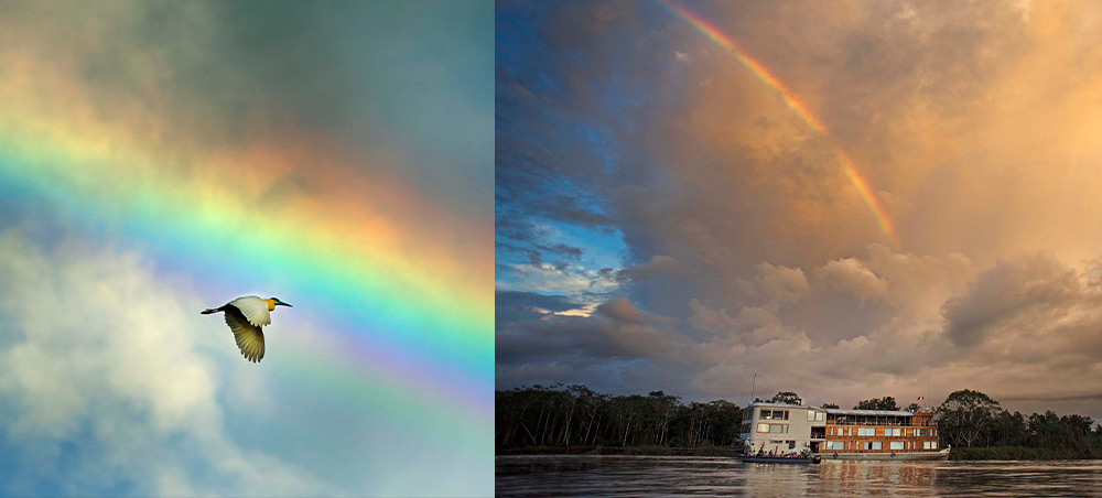 Rainbow over the Peruvian Amazon with an egret in flight and Delfín on the river.