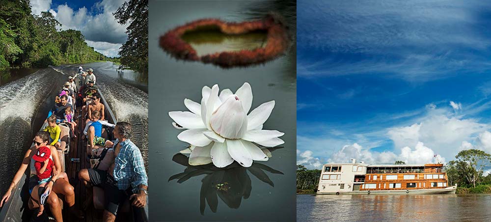 Guests exploring the Peruvian Amazon by skiff, Amazon water lily and Delfín cruise.