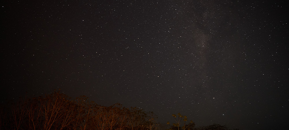Milky Way above the rainforest in Pacaya Samiria Reserve